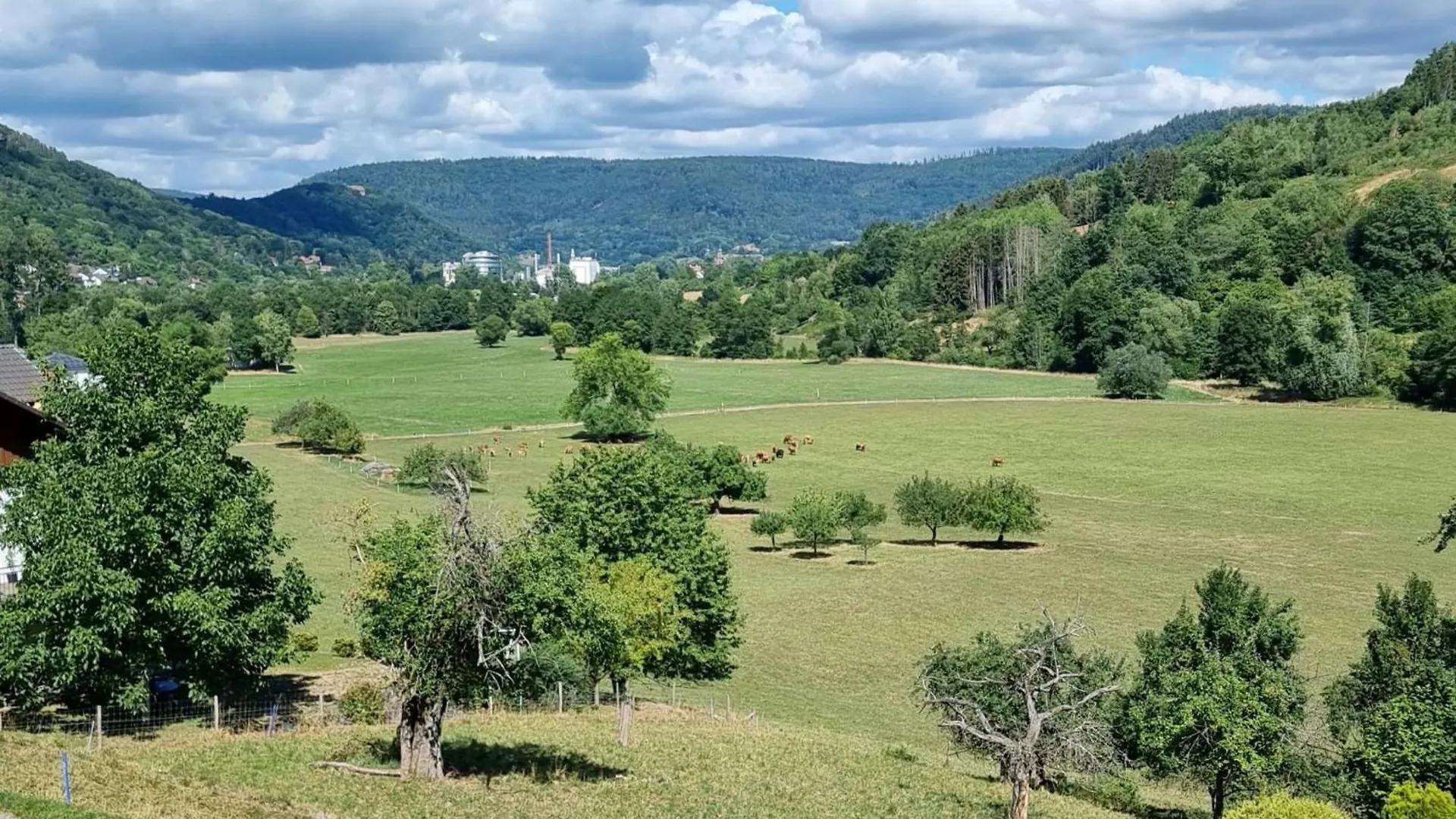 Ferienwohnung Mohnblume Schneeberg  Διαμέρισμα