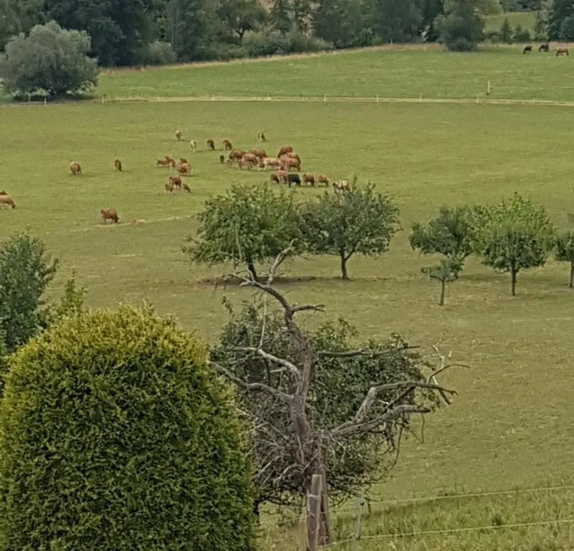 Ferienwohnung Mohnblume Schneeberg  Γερμανία